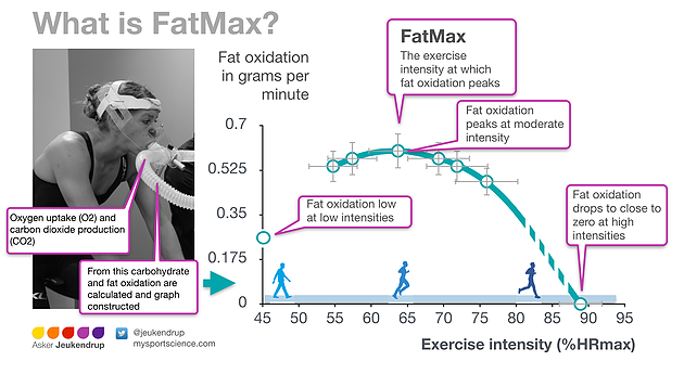 VO2 FatMax Metabolic Testing - BANAS SPORTS THERAPY, REHAB & PHYSICAL MEDICINE - Gilbert, AZ